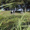 IMG_1652938