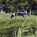IMG_1652940