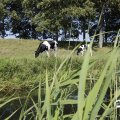 IMG_1652942