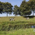 IMG_1652943