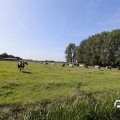 IMG_1652956