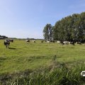 IMG_1652958