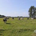 IMG_1652959