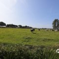 IMG_1652960