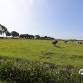 IMG_1652961