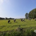 IMG_1652964