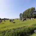IMG_1652966