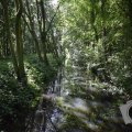 DSC021_23-08-2019