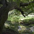 DSC029_23-08-2019