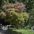 DSC041_23-08-2019