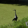 DSC045_23-08-2019