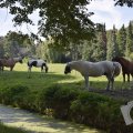 DSC047_23-08-2019