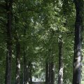 DSC053_23-08-2019