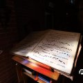 IMG_1654395