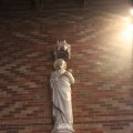 IMG_1654407