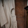 IMG_1654437