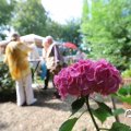 IMG_1654540