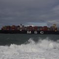 00277I2019