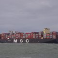 00296I2019