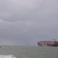 00308I2019