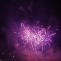 IMG_1656150