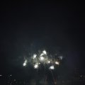 IMG_1656163