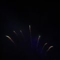 IMG_1656273