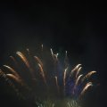 IMG_1656277