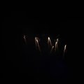 IMG_1656281