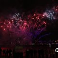 IMG_1656516