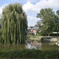 DSC043_10-09-2019
