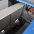 IMG_1659131