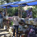 DSC042_21-09-2019