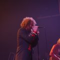_MG_1660461