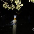 _MG_1661334