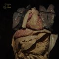 00227J2019