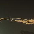 00344J2019