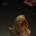 00349J2019