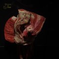 00377J2019