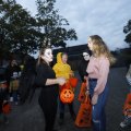 IMG_1665366