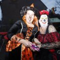 IMG_1665378