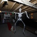 IMG_1665501