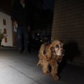 IMG_1665598
