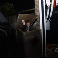 IMG_1665631
