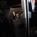 IMG_1665632