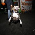 IMG_1665864
