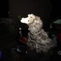 IMG_1665904
