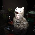 IMG_1665905