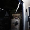 IMG_1665955