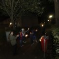 IMG_1665982
